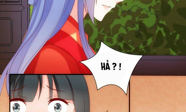 đô đốc đại nhân sủng thê kí chapter 13.1 65