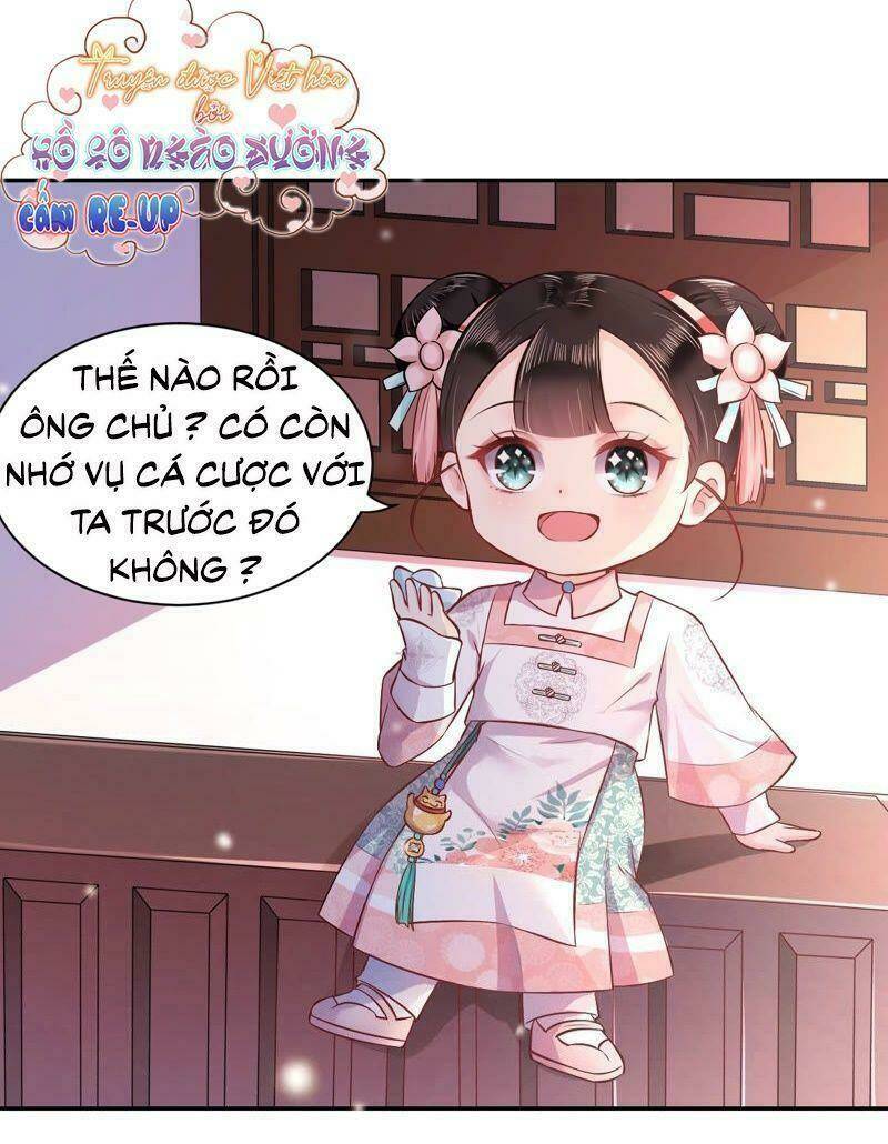 quận chúa vững vàng, thiết lập nhân vật không thể vỡ chapter 4 33