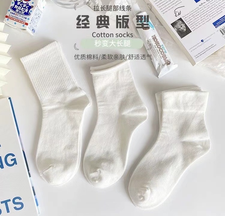 SET 5 ĐÔI TẤT VỚ NƠ NỮ DỄ THƯƠNG MÃ 50 DÀNH CHO NỮ