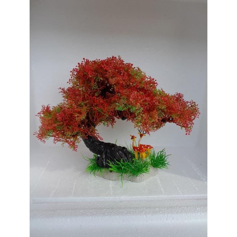 Bonsai bể cá cảnh - cây để bàn - cây trang trí hòn non bộ tiể cảnh