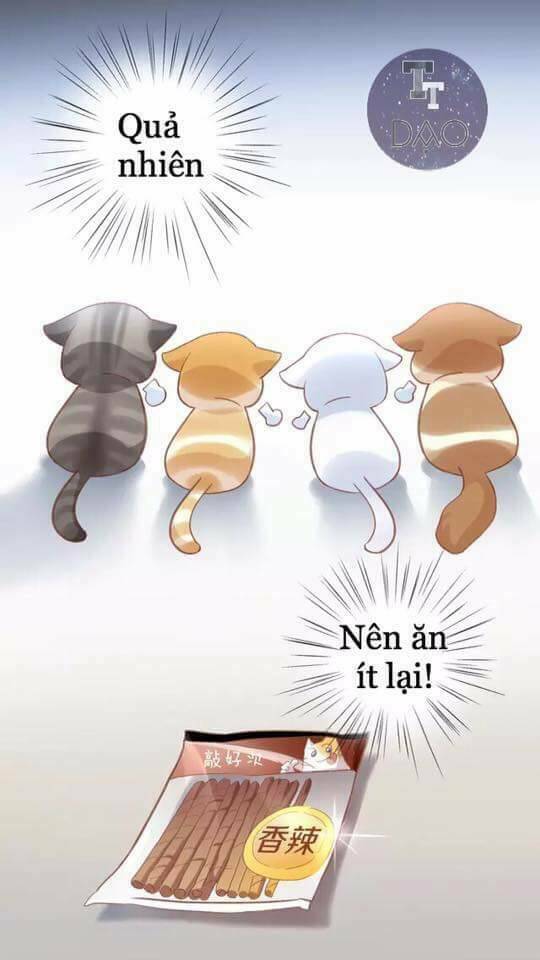 dưới móng vuốt mèo chapter 6 55