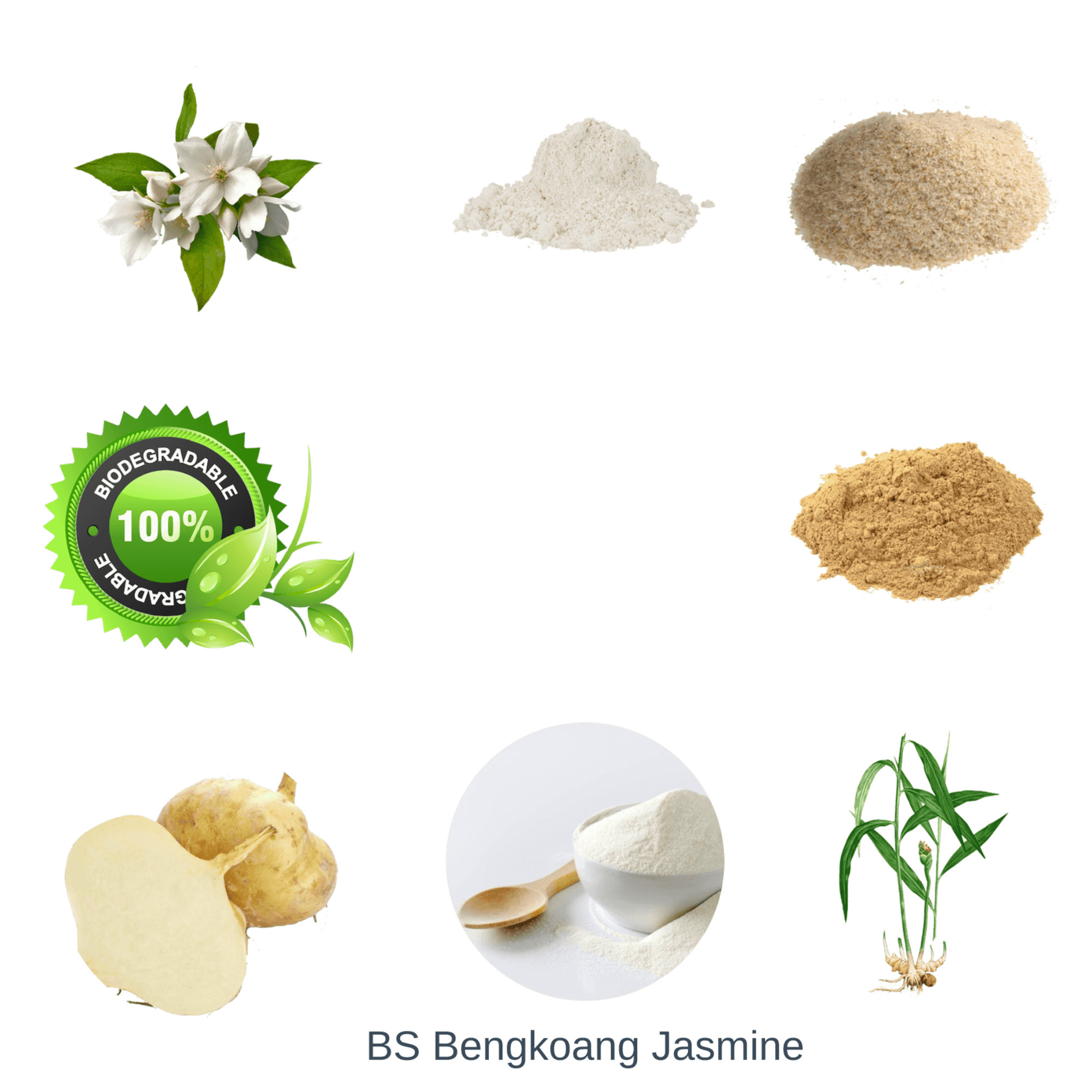 Bột Tẩy Tế Bào Chết tự nhiên Ekoko Moodswing Bengkoang - Jasmine Body Scrub (100g), tẩy da chết cho mặt, tẩy da chết body và đắp mặt nạ