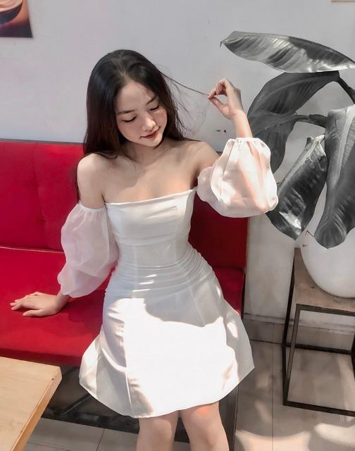 Đầm lưới tay