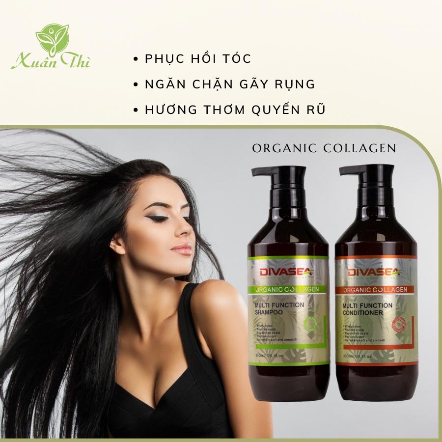 Dầu gội xả hữu cơ Divasea Oganic Collagen phục hồi mềm mượt giảm gãy rụng 800ml + Gội xả gói Karseell 15ml