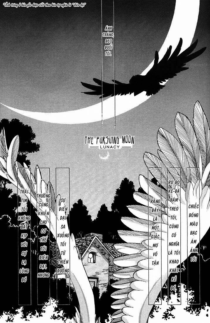 synodic month chapter 1 8