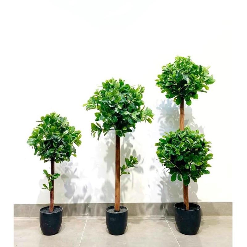 Cây hạnh phúc - Cây giả Decor kèm chậu phủ rêu