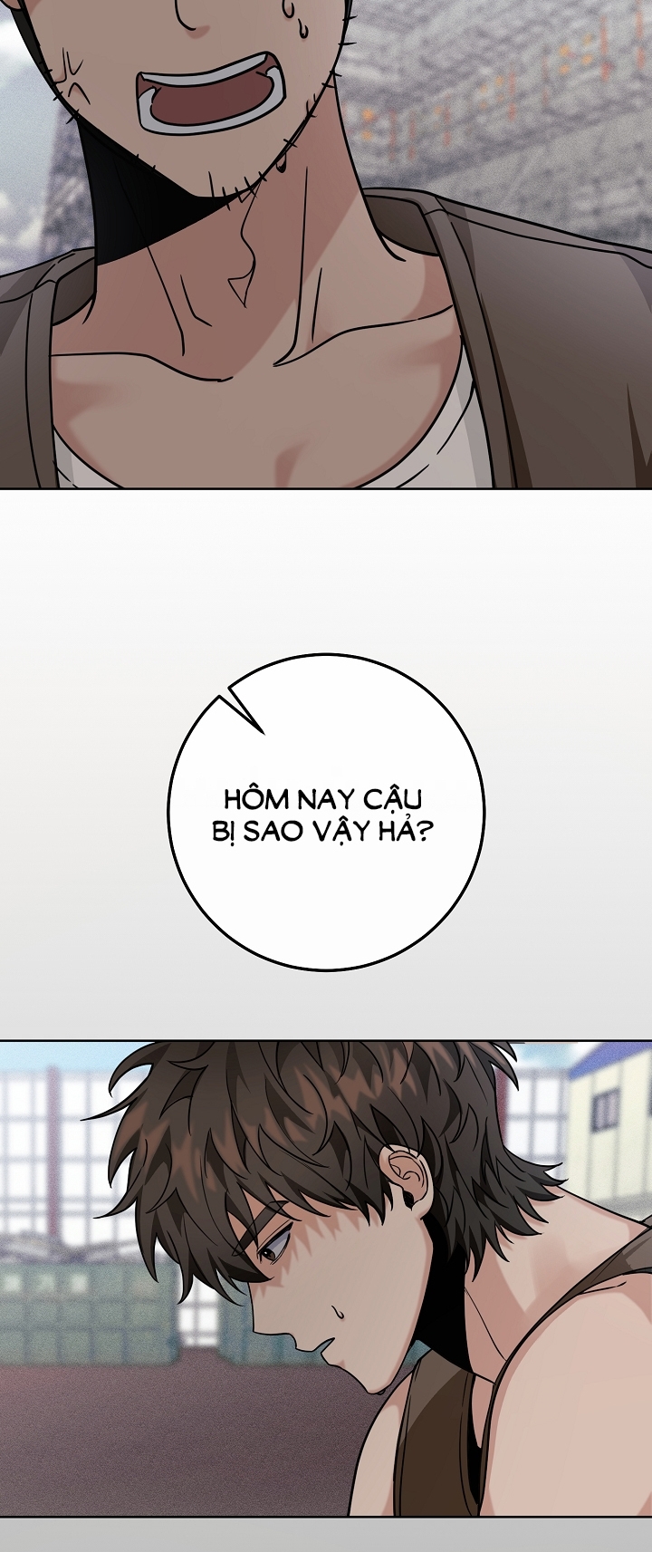 11336 chapter 22.1 - Trang 23