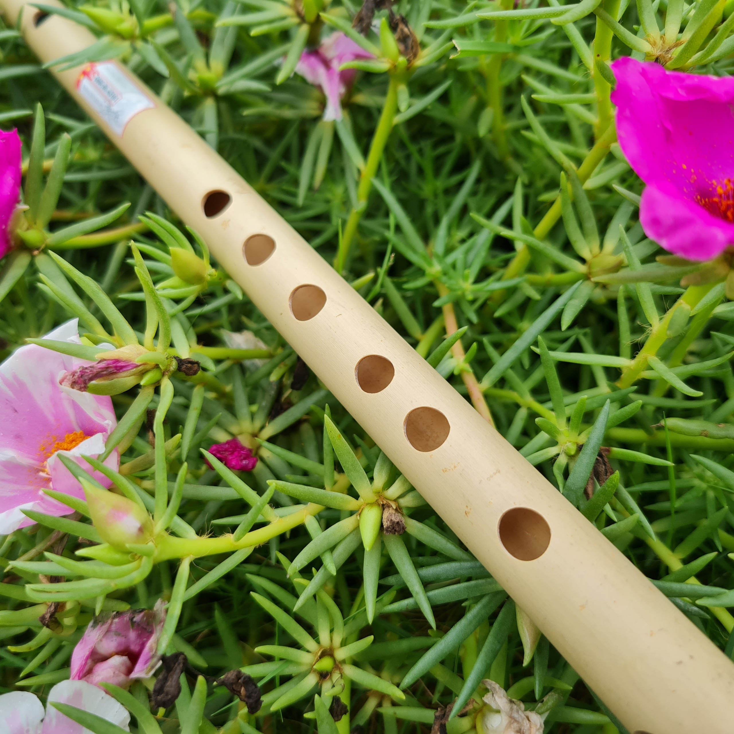 Sáo Trúc VS3 Tone Rê Nứa Bắc - Sáo Trúc Bùi Gia