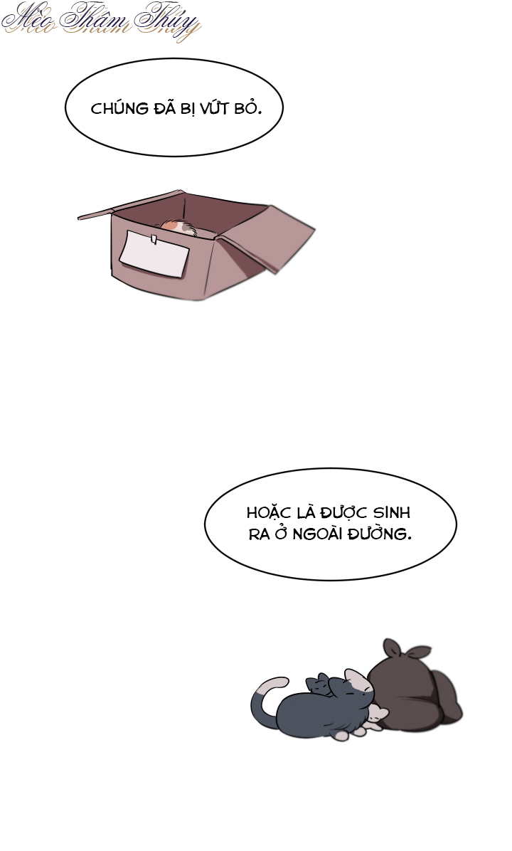 tình đầu chapter 1 24