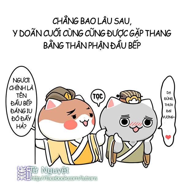 nếu lịch sử là một bầy mèo chapter 8 18