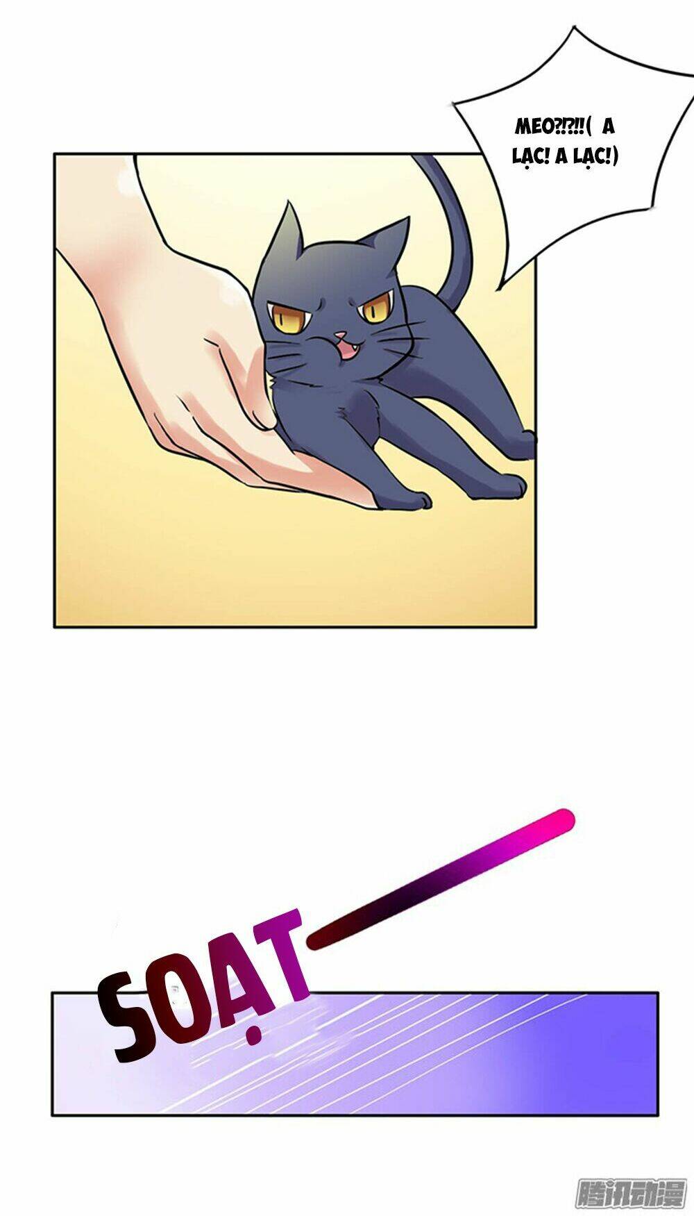 hai chú mèo totem chapter 6 20