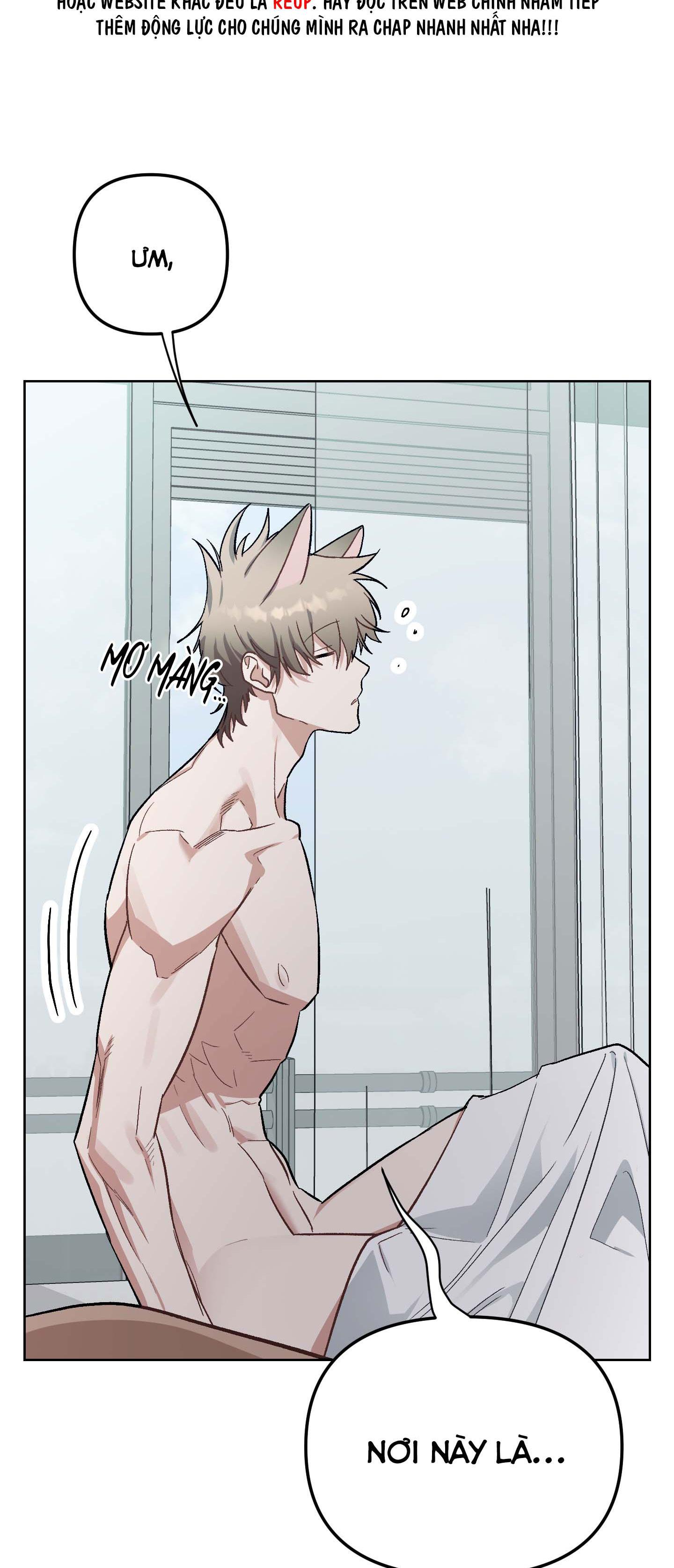 thỏ nhỏ xuất tinh trong 3 giây chapter 5 2