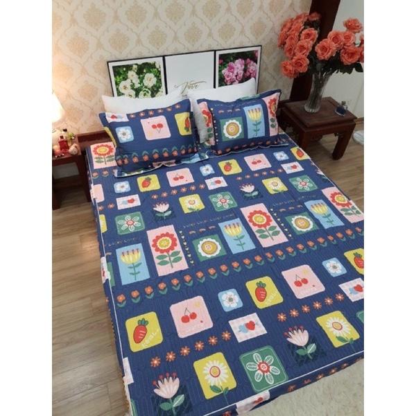 Bộ Ga Gối Trần Chun Cotton Hàng Xuất Nhật