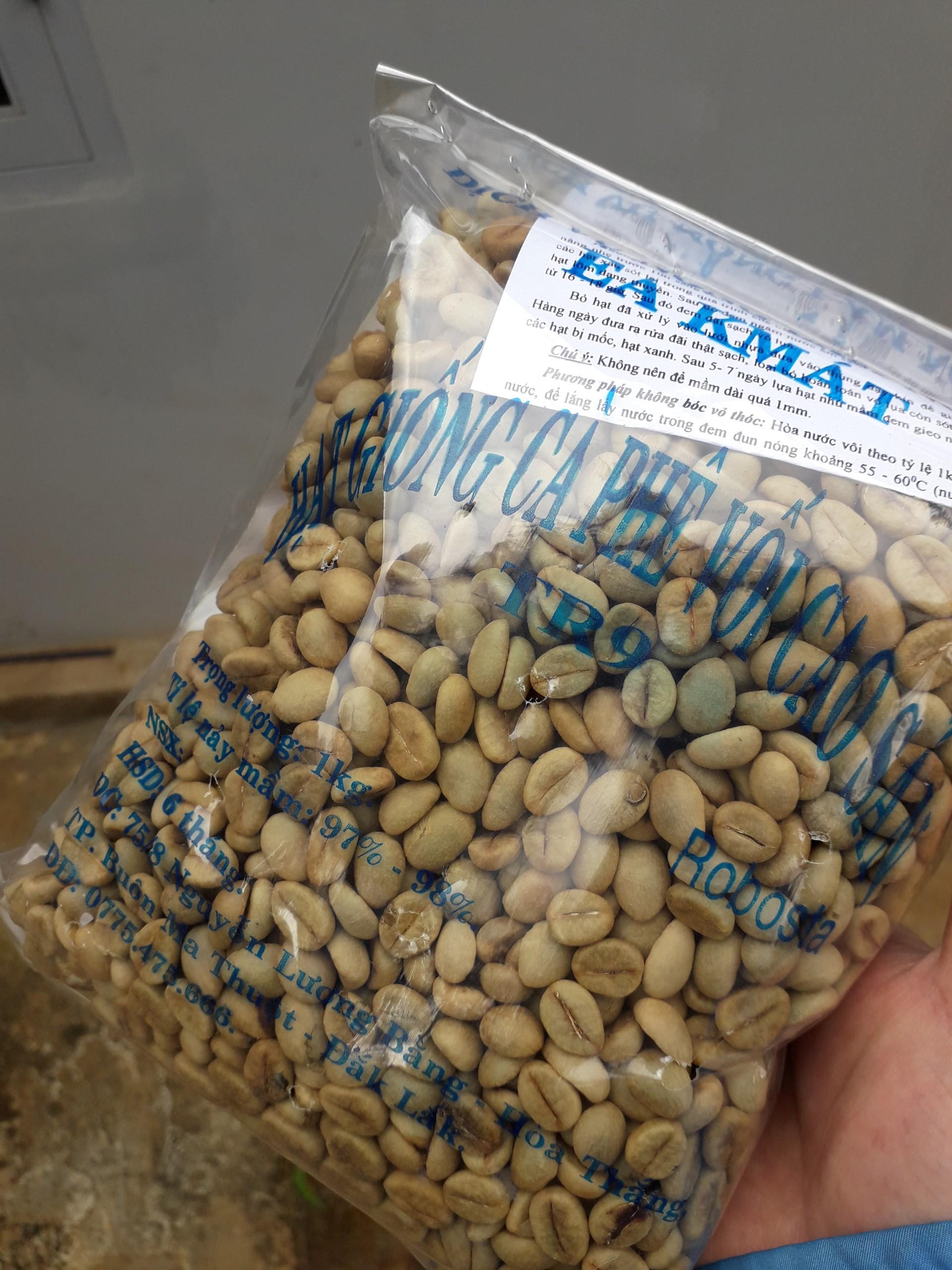 0,5 KG HẠT GIỐNG CÀ PHÊ TR9