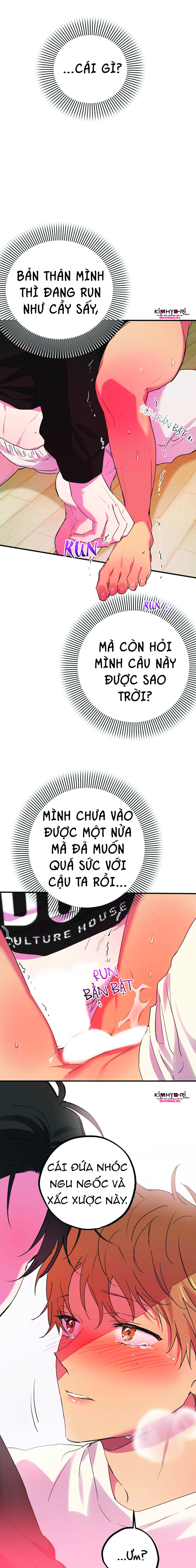 những chú thỏ của hapypy chapter 9 8