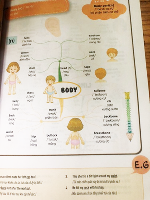 Sách Mindmap English Grammar - Ngữ Pháp Tiếng Anh Bằng Sơ Đồ Tư Duy Cho Người Học Căn Bản - Học Kèm App