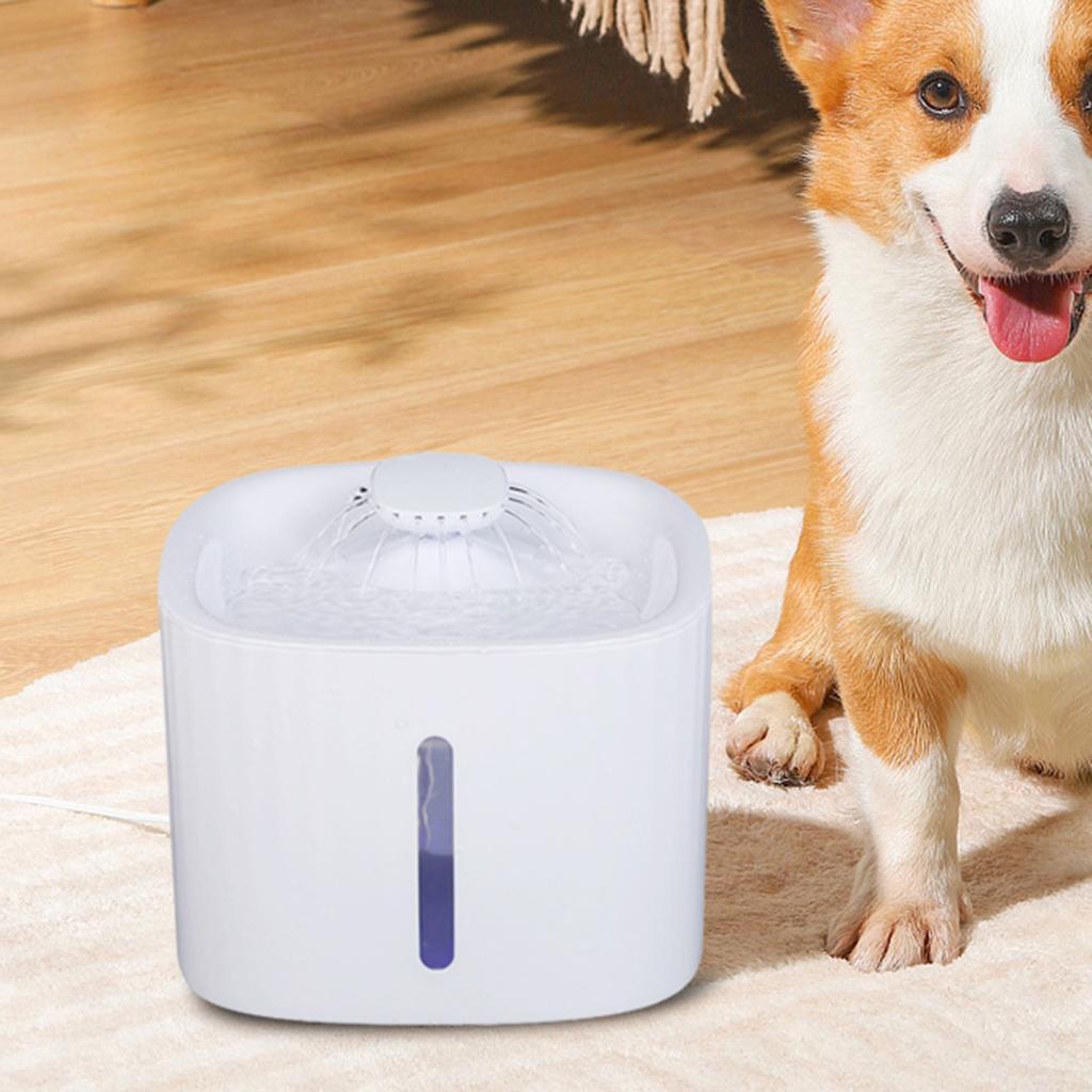 3L  Dispenser Fountain cat   Drinking Bowl with Filter
