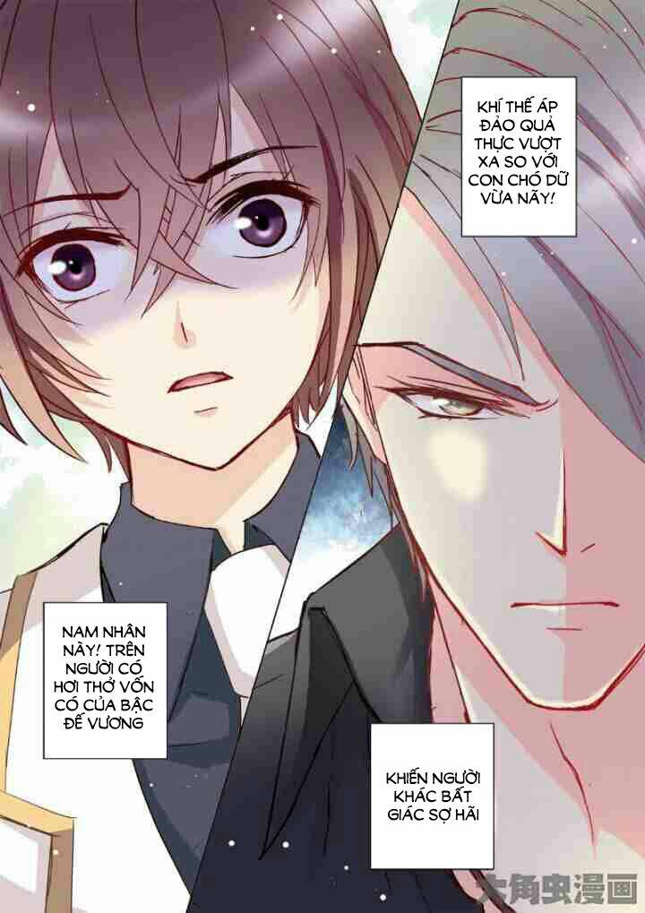 the stars are not luminous body chapter 20 5