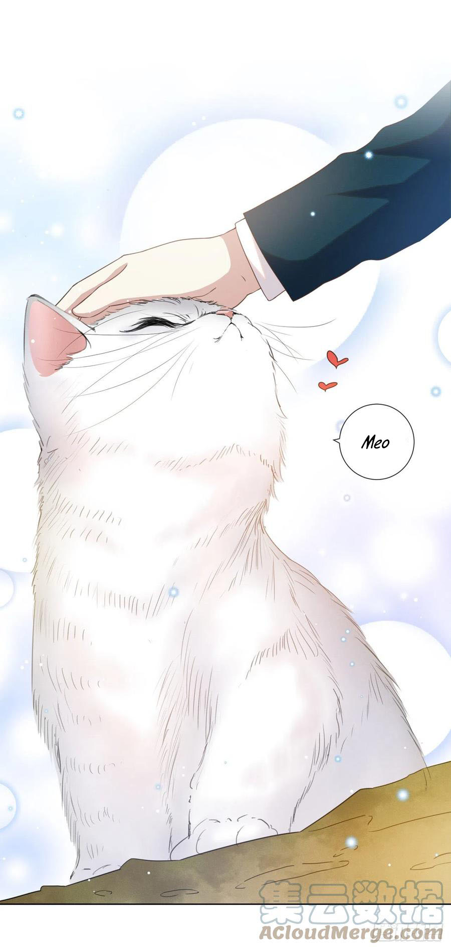 anh ấy gọi tôi là hắc liên hoa chapter 131 8