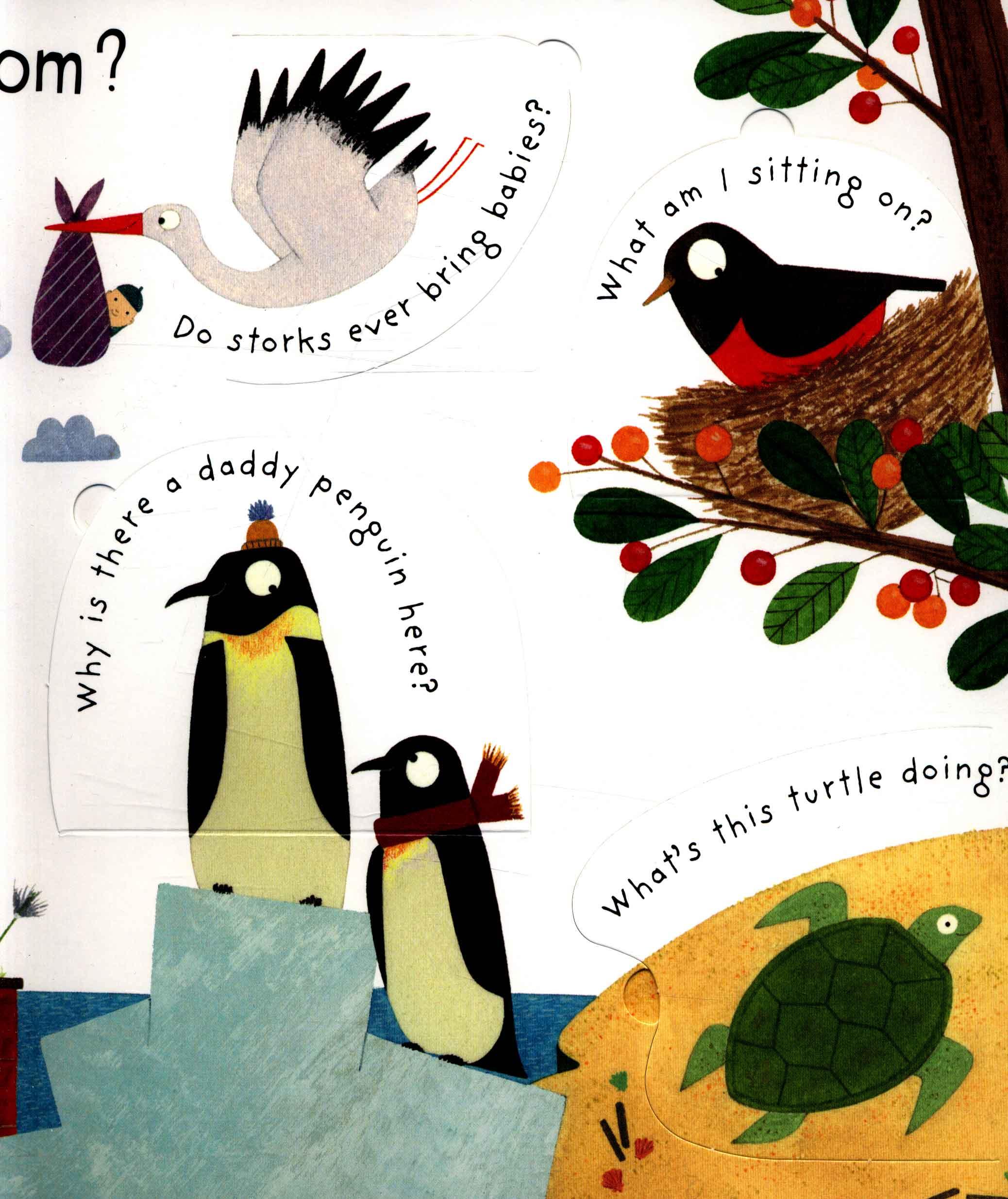 Usborne Where do babies come from?