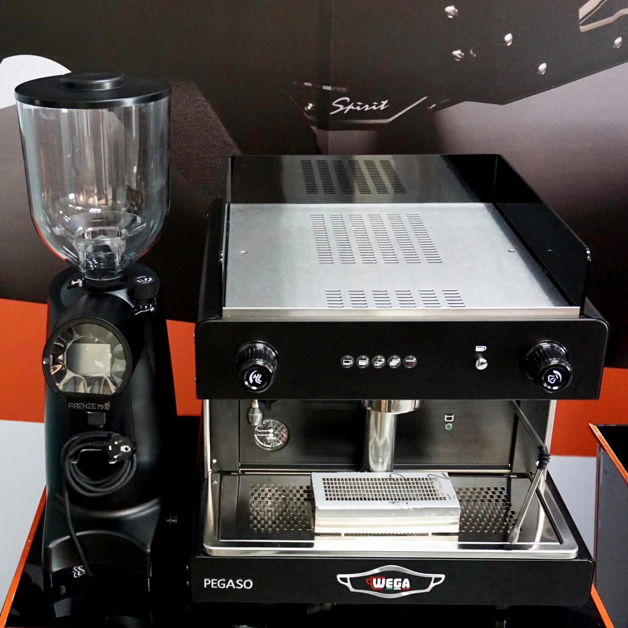 Máy pha cà phê chuyên nghiệp WEGA PEGASO - Hàng chính hãng