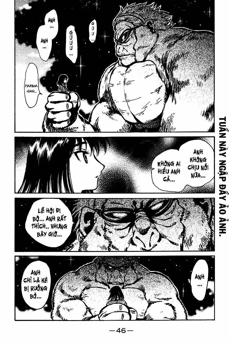 school rumble chapter 246 5