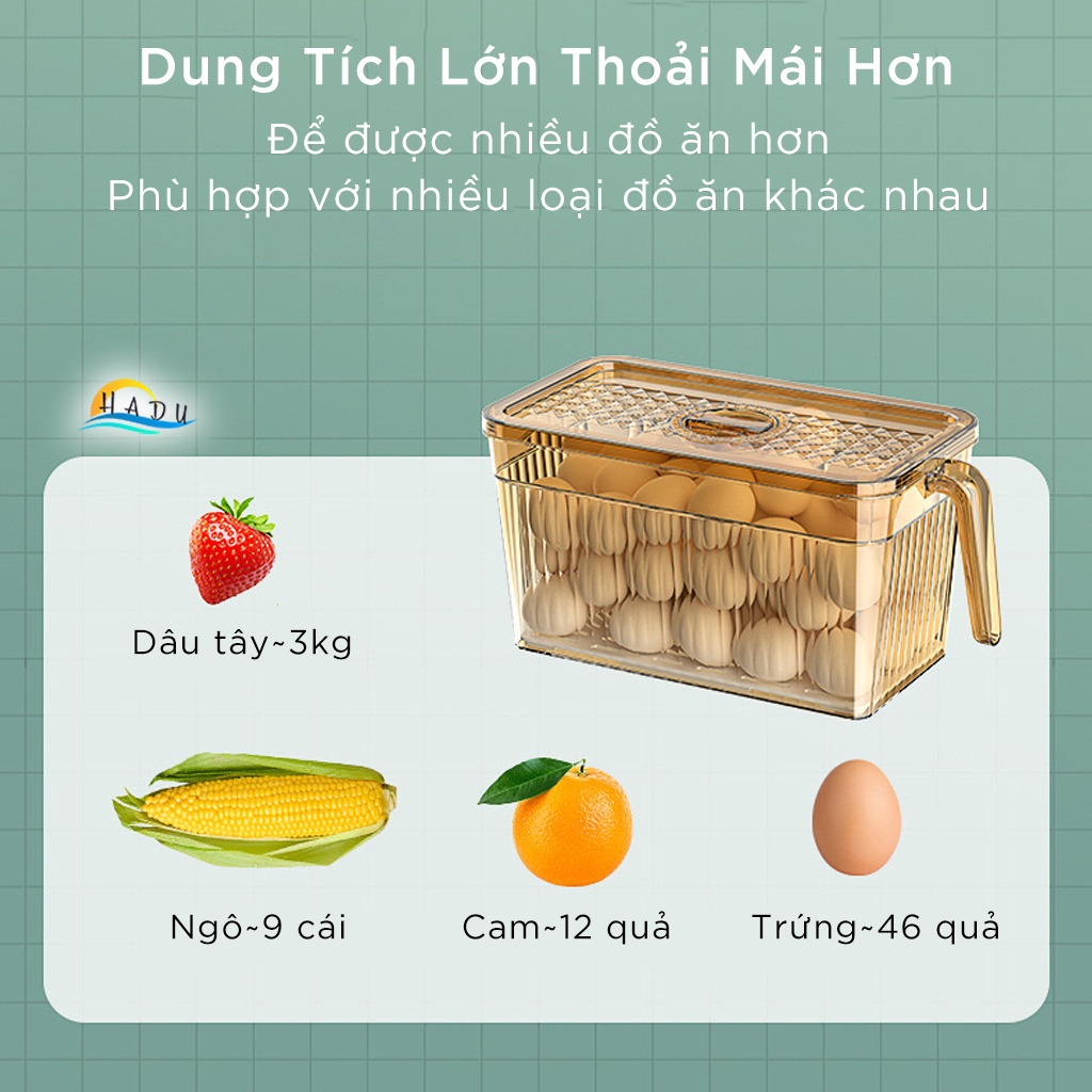 Hộp Đựng Trái Cây Hoa Quả Trong Tủ Lạnh Có Nắp Nhựa PET Trong Suốt Cao Cấp Đạt Chất Lượng Đức CCKO