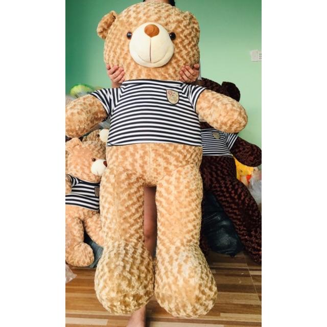 Gấu Bông Teddy khổ vải 1m4 chiều cao 1m2