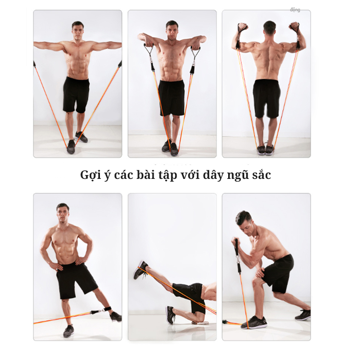 Combo 2 dụng cụ tập Gym : 1 xà đơn gắn tường + 1 bộ 5 dây ngũ sắc - Có độ dài tuỳ chỉnh chốt khoá an toàn chất liệu thép chịu lực tốt hỗ trợ tập Gym cơ bắp săn chắc , chịu lực tốt