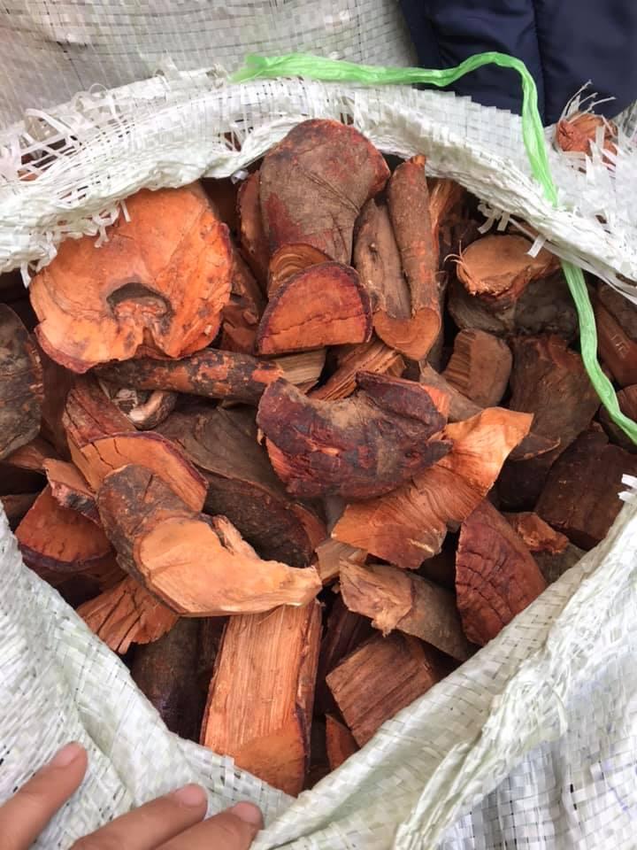 Cây Mú Từn - Cù boong nậu - Rể Khô 1kg