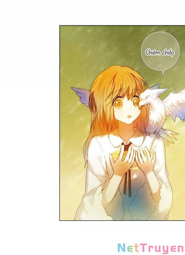 kế hoạch trái tim chapter 49 16