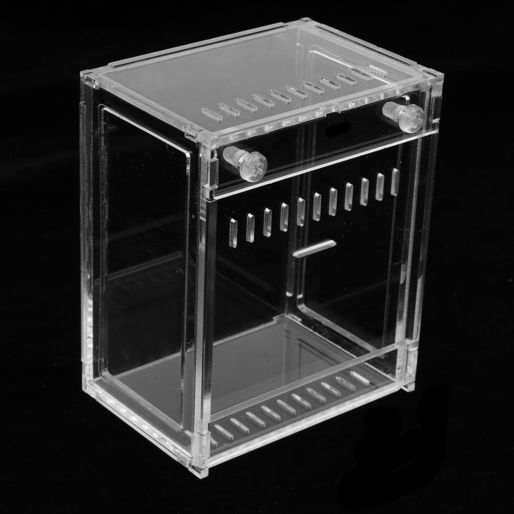 Clear Terrarium Box Reptile & Amphibian Breeding Box for Snake Lizard Turtle