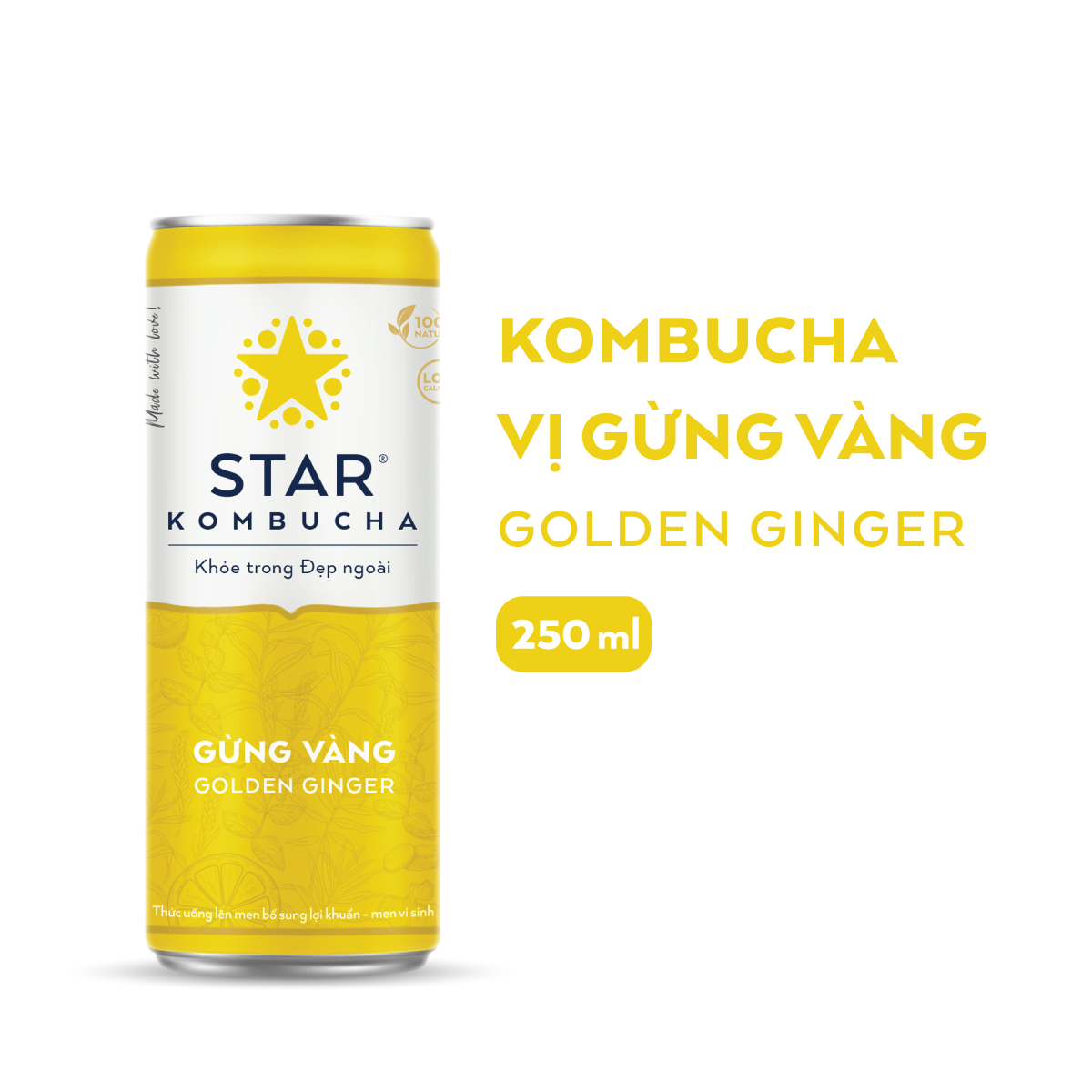 Thùng 12 lon thức uống lên men STAR KOMBUCHA Gừng Vàng/ Golden Ginger (250ml/lon)