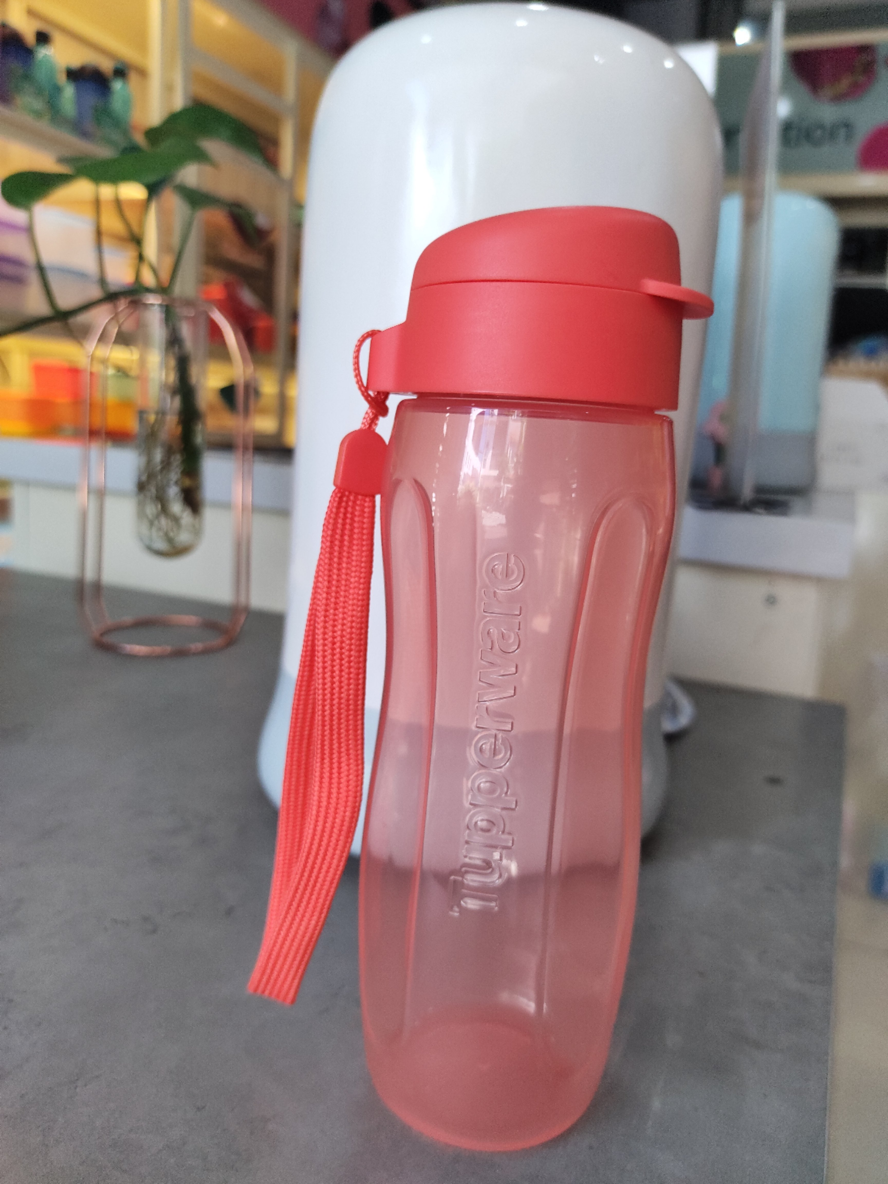 Bình Nước Eco Bottle Gen II 500ml