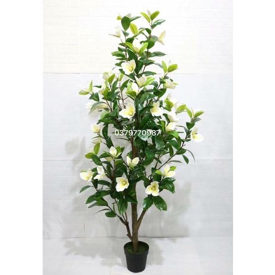 Cây hoa mộc lan 180cm - Cây hoa giả