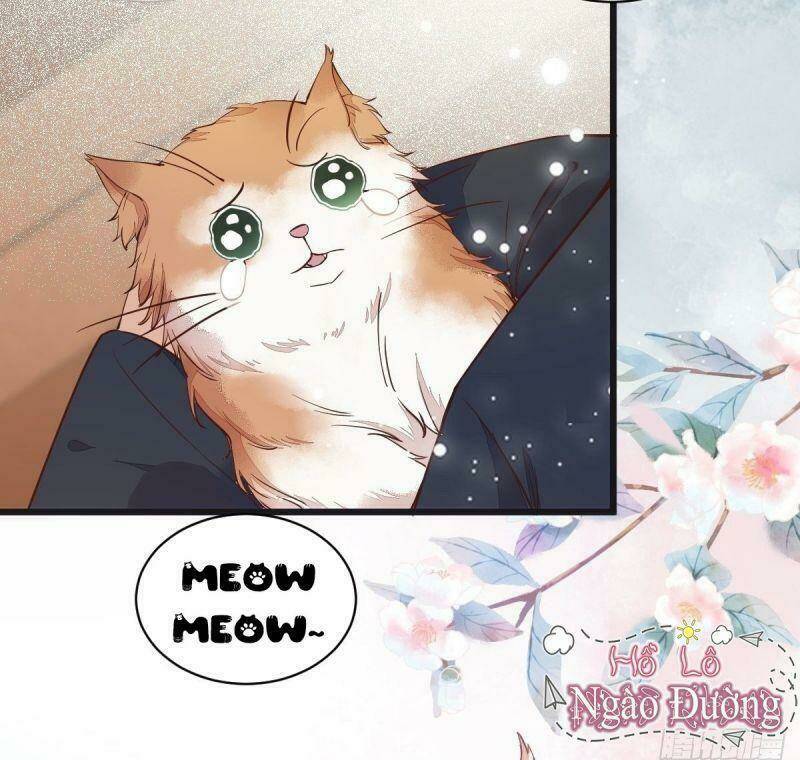 sát thủ vương phi không dễ chọc chapter 33 56