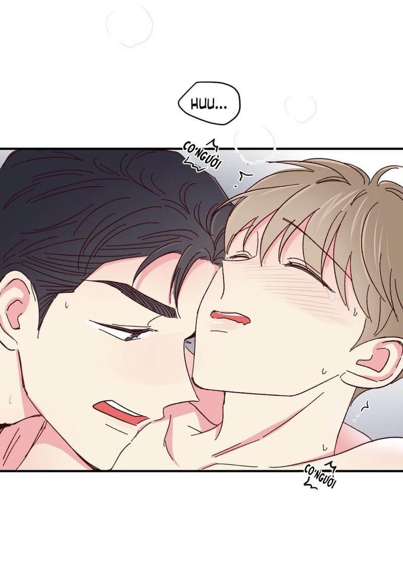 món tráng miệng của sếp tổng chapter 47 43