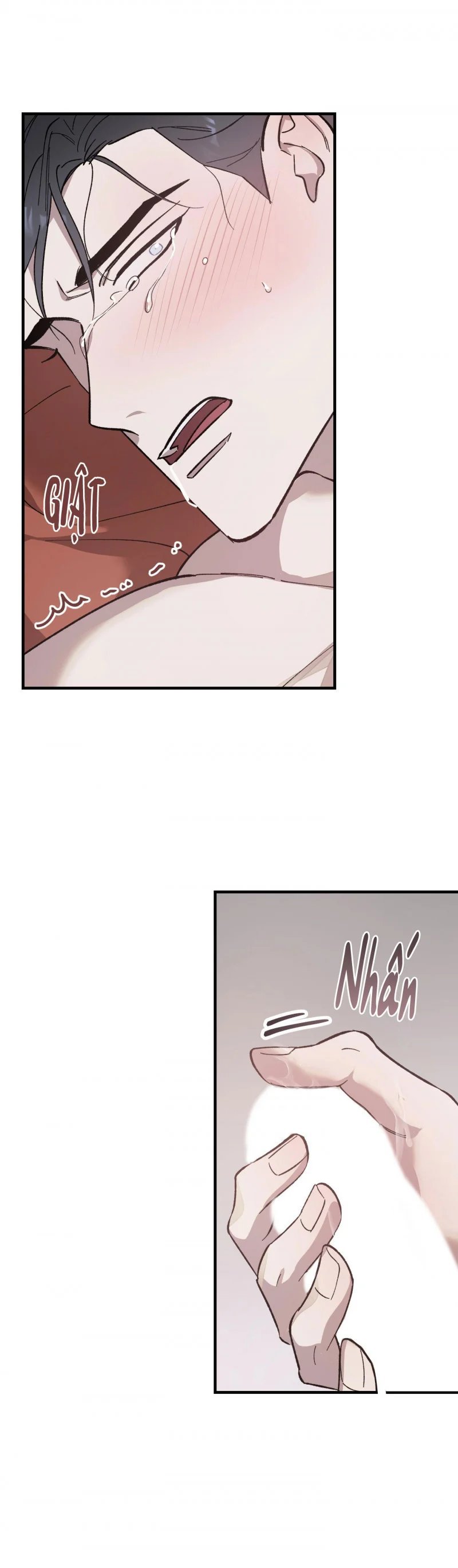 đóa hoa của mặt trời chapter 9.5 1