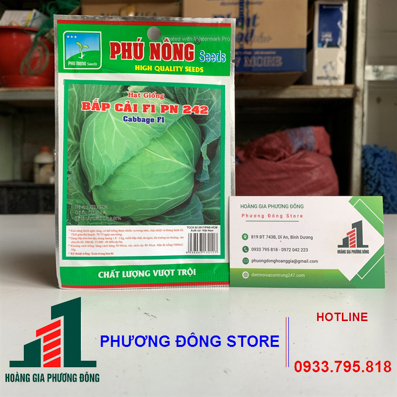 Combo 5-10 gói hạt giống rau bắp cải chịu nhiệt , tròn to, giá rẻ