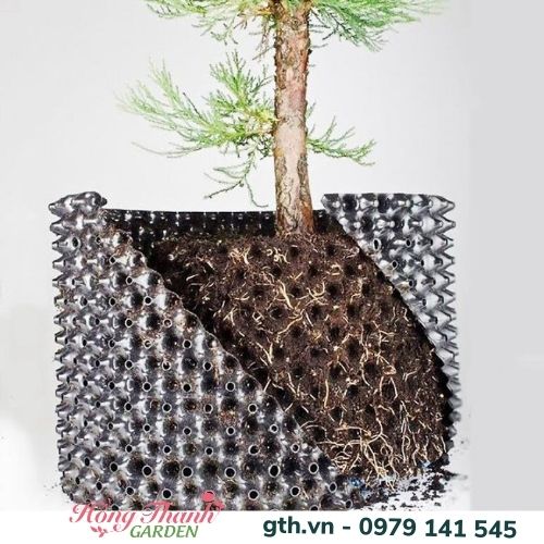 Bầu Ươm Cây Thông Minh V6 tặng kèm đinh ốc - Dùng Ươm Cây Cảnh, Rau Màu, Cây Ăn Quả Cực Kỳ Tiện Ích, Dễ Di Chuyển Cây, Thay Đổi Vị Trí Hoặc Sang Chậu Độ