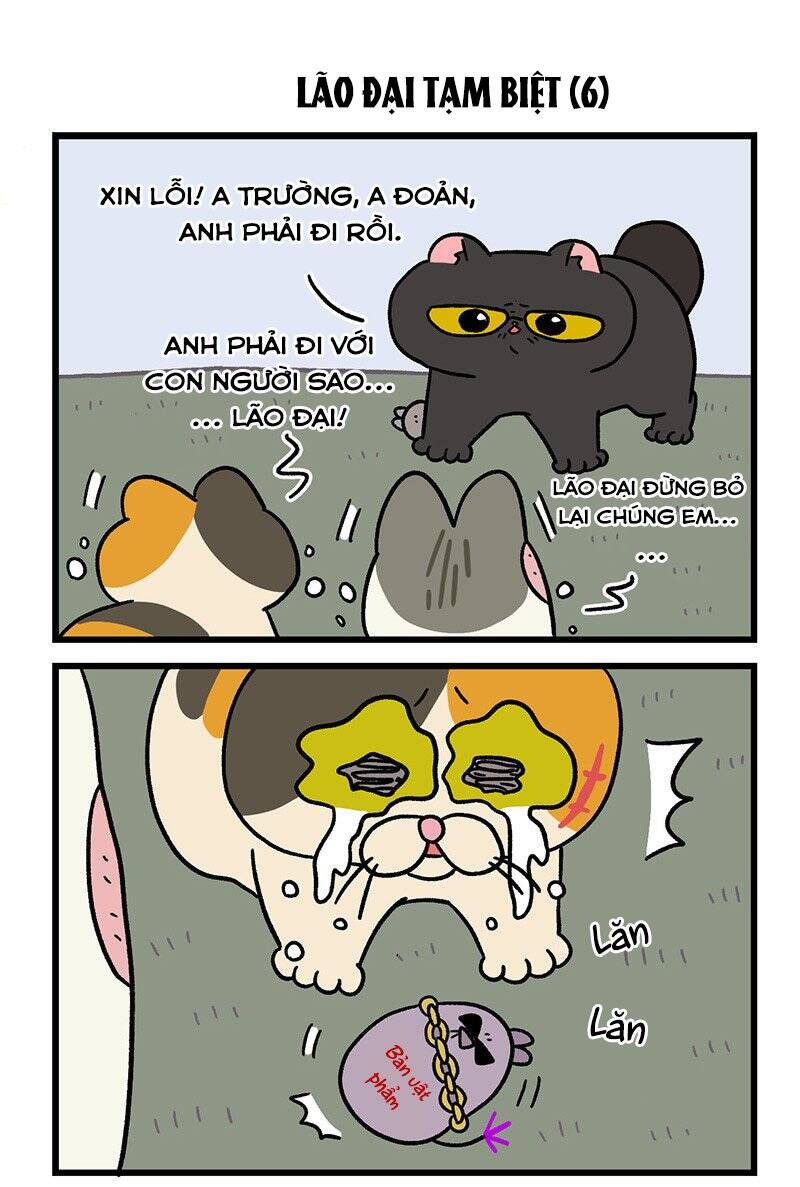 a mãn và mạch trà chapter 45.1 5