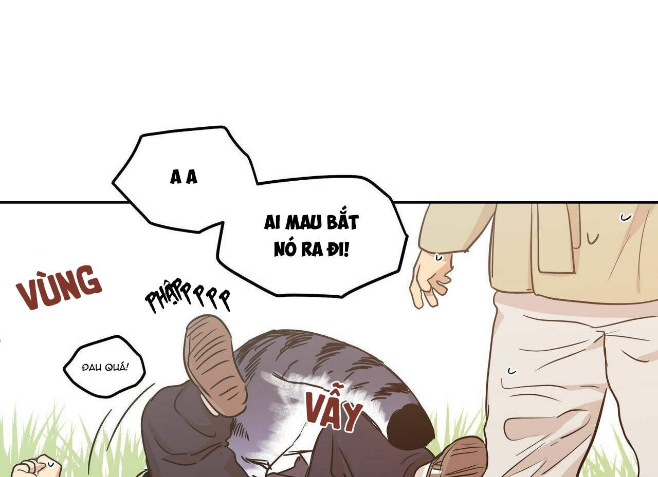 không chốn yêu đương chapter 68 49