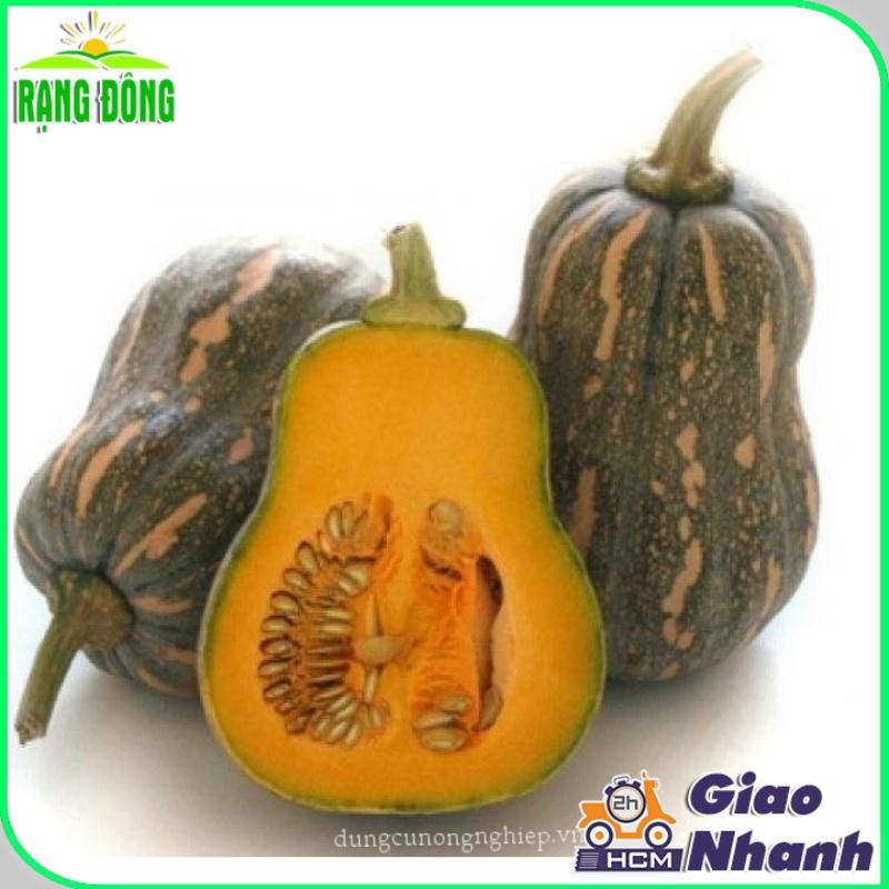 Hạt Giống Bí Đỏ Hạt Đậu Lai F1 Năng Suất Cao rạng đ- Hạt giống Rạng Đông