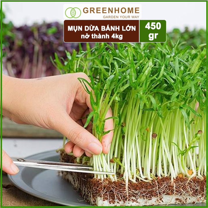 {GIÁ THẤP NHẤT} Viên Nén Bánh Nén Mụn Dừa Xơ Dừa 0.45Kg Dùng Trồng Rau Sạch Bằng Đất Sạch, Xơ Dừa Và Phân Bón Hữu Cơ