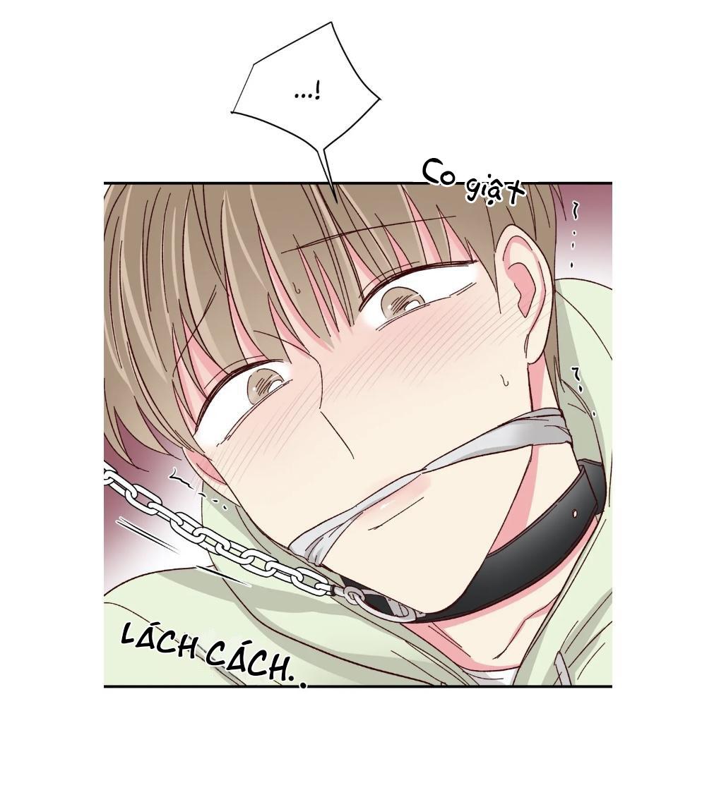 món tráng miệng của sếp tổng chapter 57 16