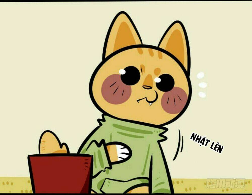 đời không như mình tưởng chapter 19 7