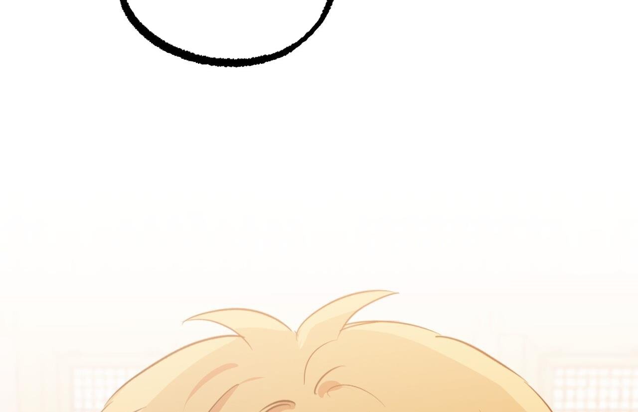 những chú thỏ của hapypy chapter 62 219