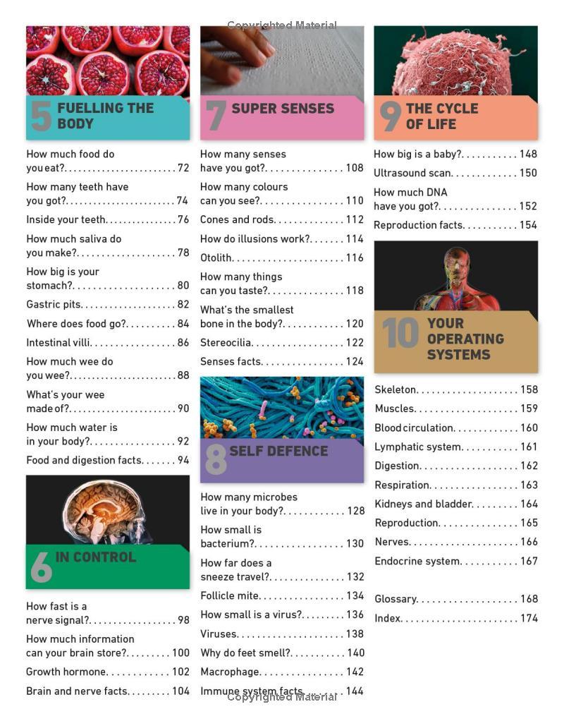 Sách ngoại văn: It Can't Be True! Human Body! : 1,000 Amazing Facts About You