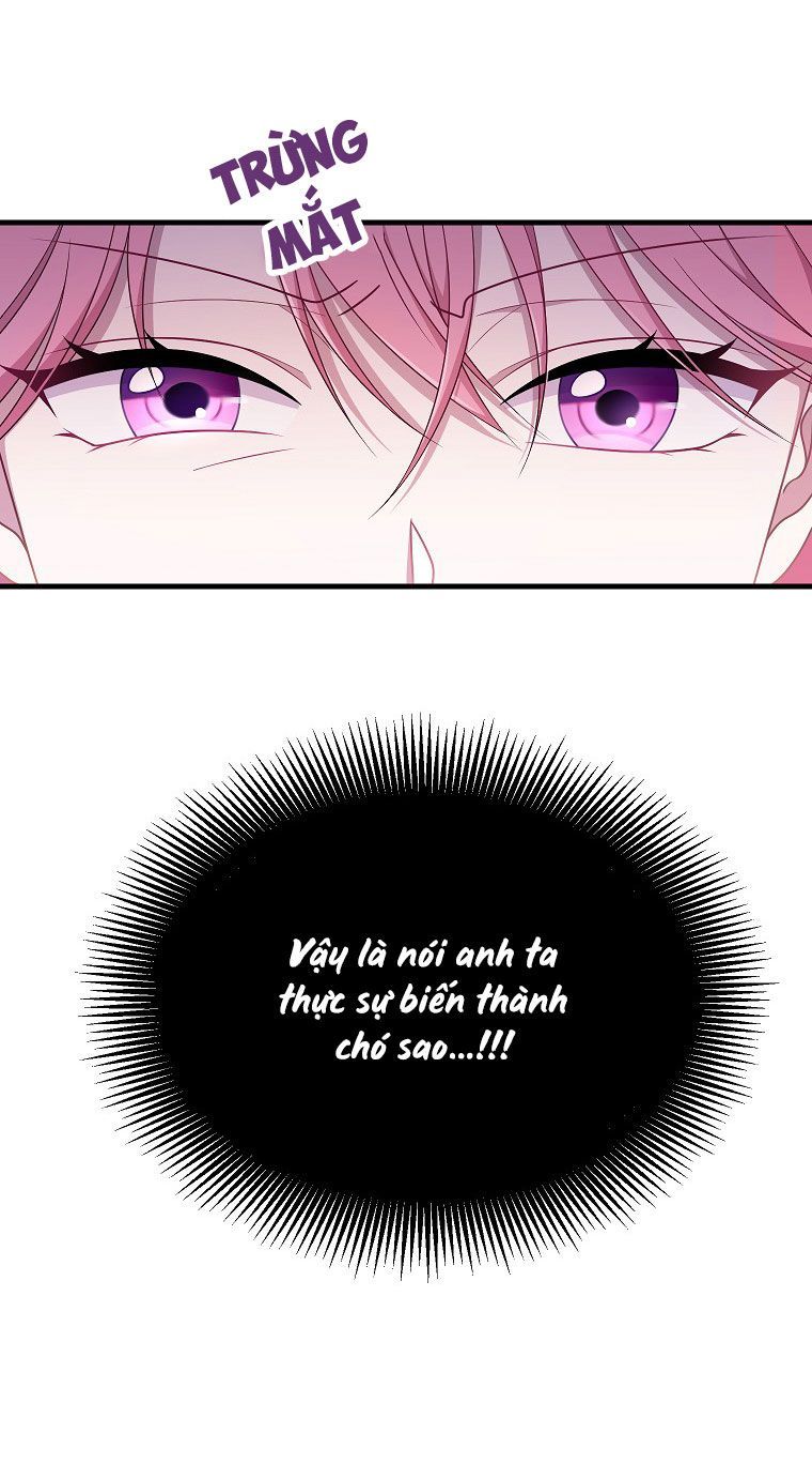 tôi đã gặp nam chính trong ngục tù chapter 1 70