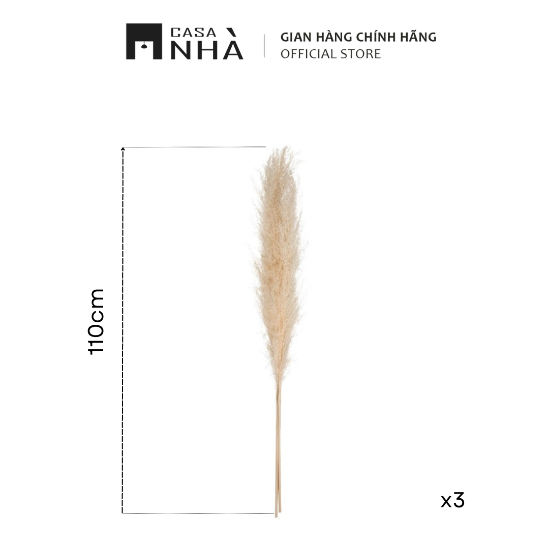 Cành Hoa Khô Trang Trí - Bó hoa, cỏ khô decor, phụ kiện chụp ảnh - Casanhà Furniture